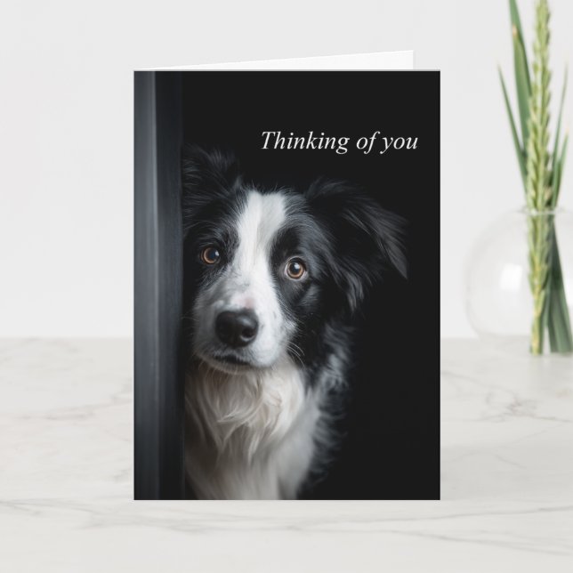 Cartão Thinking of You Border Collie (Frente)