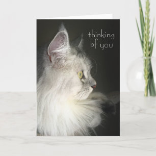 Cartão Thinking of You Card Featuring Siberian Cat