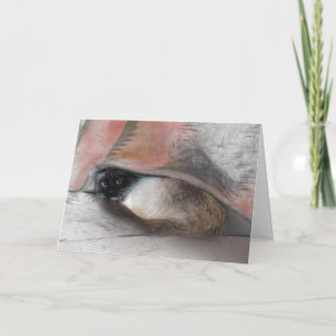 Cartão Thinking of You Cute Siamese and Blanket Sketch