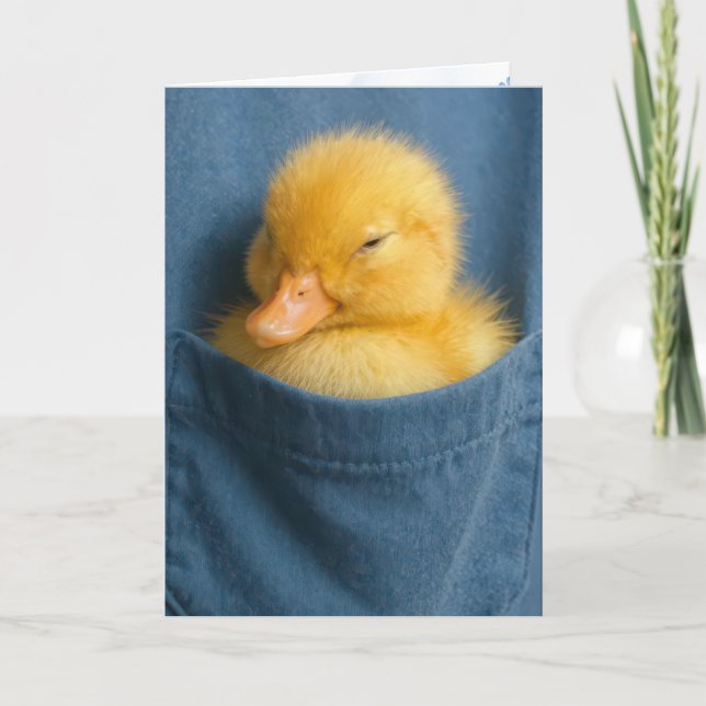 Cartão Thinking of You Duckling In a Blue T-shirt Pocket (Frente)