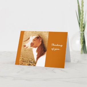 Cartão Thinking of You Goat Card