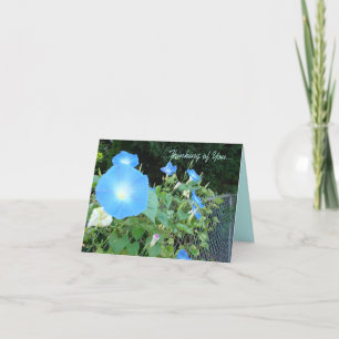Cartão Thinking of You...Morning Glories Notecard
