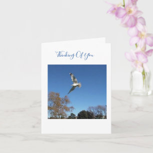 Cartão Thinking Of You Sympathy Card