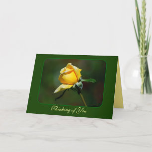 Cartão Thinking of You Yellow Rose Bud
