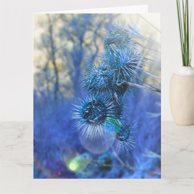 Cartão Thistle na Placa Roxa (Frente)