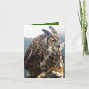 Cartão Three Bird all occasion Note Card