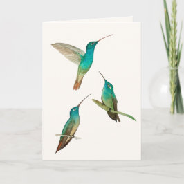Cartão Three Hummingbirds Greeting Card