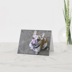 Cartão Thunder The Bulldog Greeting Cards