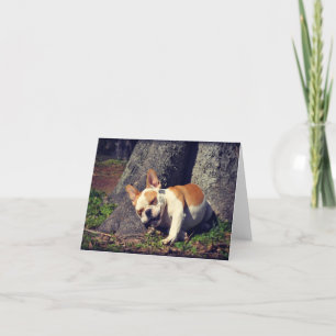 Cartão Thunder The Bulldog Greeting Cards