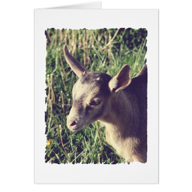 Cartão Thunder Vintage (Frente)