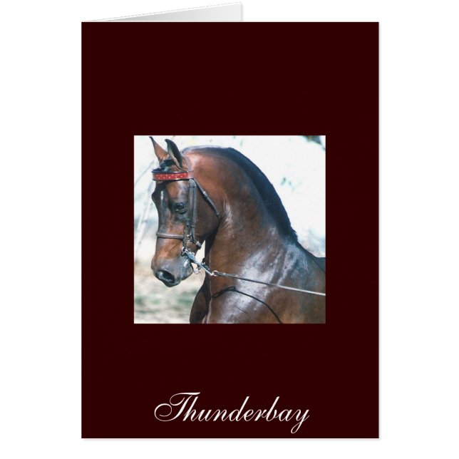 Cartão Thunderbay (Frente)