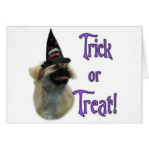 Cartão Tibetano Spaniel Trick