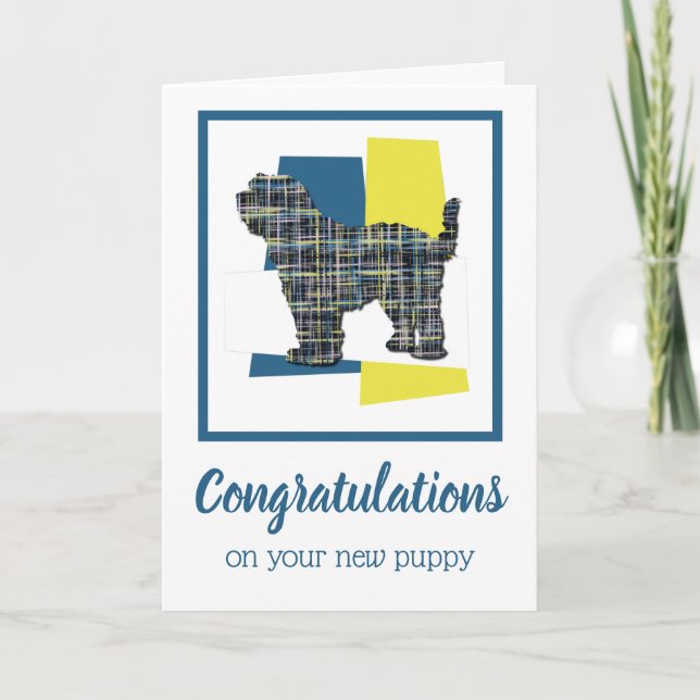 Cartão Tibetano Terrier Puppy Dog Parabéns Saudação (Frente)