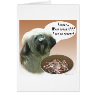Cartão Tibetano Terrier Turquia