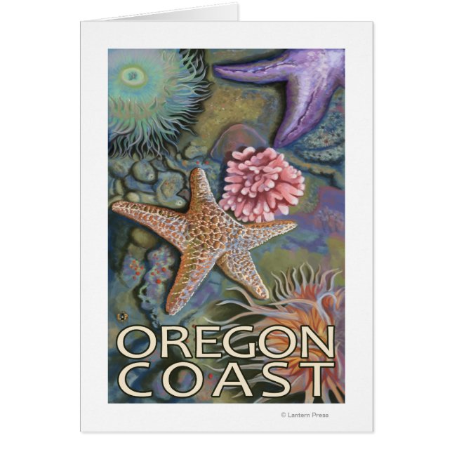 Cartão Tidepool da Costa do Oregon (Frente)