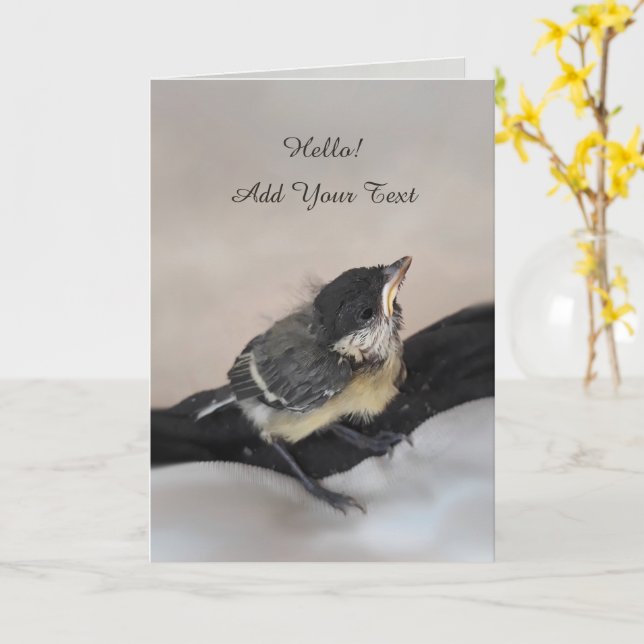 Cartão Tidi, meu Pássaro, o Parus Major (Flor Amarela)