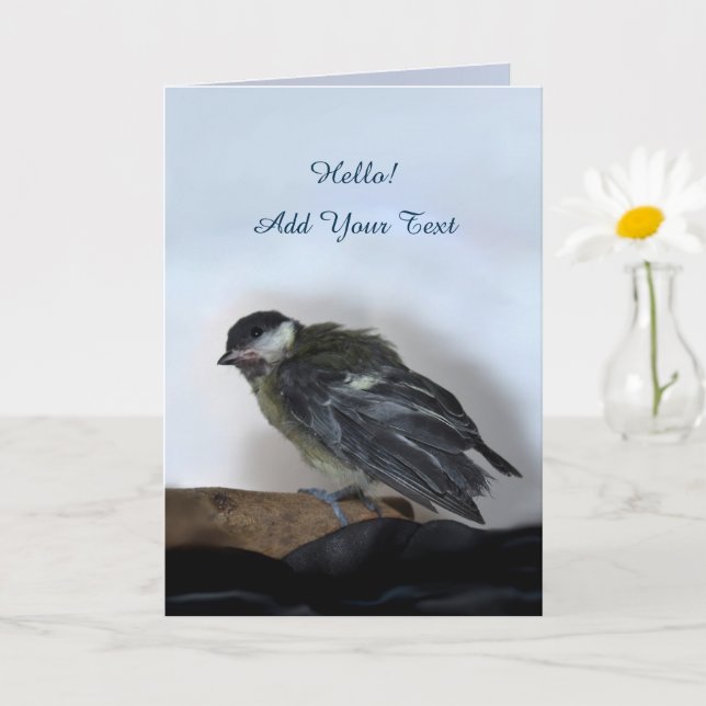 Cartão Tidi, meu Pássaro, o Parus Major (Planta pequena)