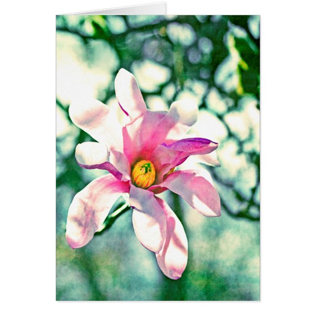 Cartão Tiffany Magnolia (Frente)