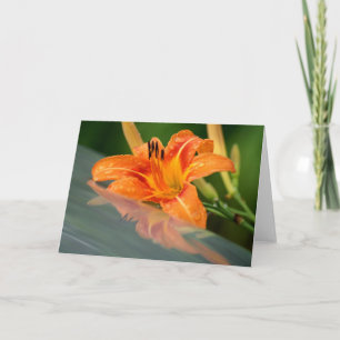 Cartão Tiger Lily Refletion