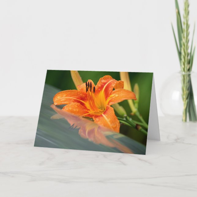 Cartão Tiger Lily Refletion (Frente)