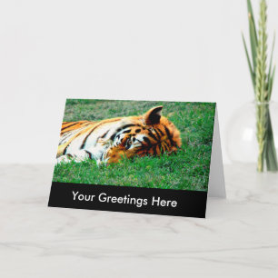 Cartão Tiger Lying Down Empregado Greeting Card