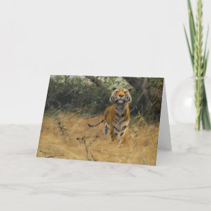 Cartão Tiger on The Watch   Wilhelm Kuhnert