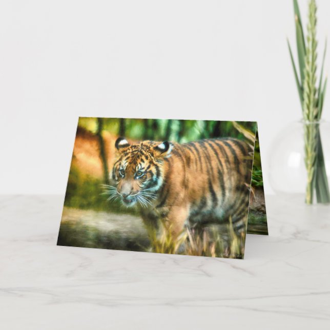 CARTÃO TIGER YOUTH DA NAÇÃO SUMATRA (Frente)