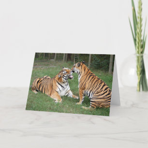 Cartão TigerFriends 007