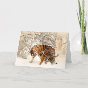 Cartão Tigre