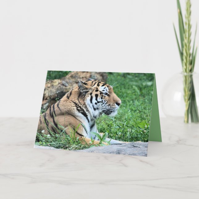 Cartão Tigre (Frente)