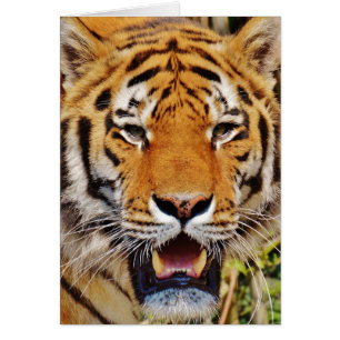Cartão Tigre