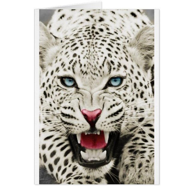 Cartão tigre branco (Frente)