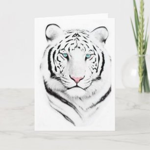 Cartão Tigre Branco Siberiano