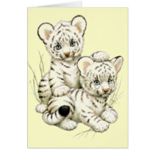 Cartão Tigre Cubs branco bonito