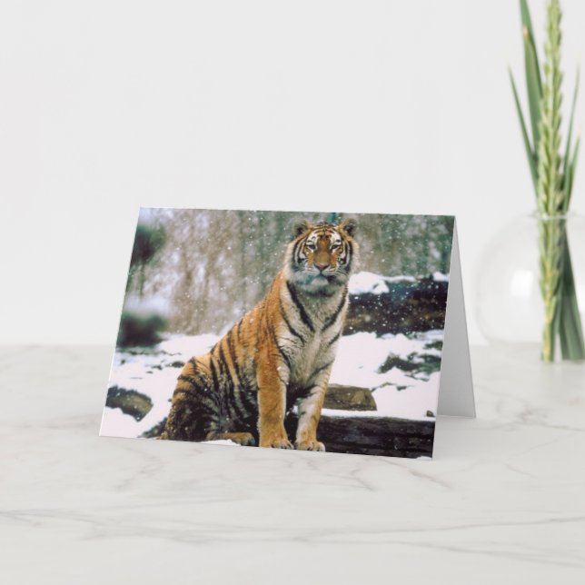 Cartão Tigre na neve (Frente)
