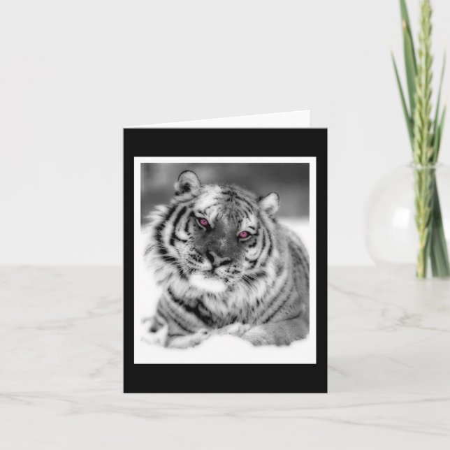 Cartão Tigre Olhado Rosa (Frente)