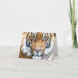 Cartão Tigre Personalizado Nome Feliz Aniversário