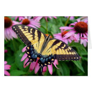 Cartão Tigre Swallowtail da borboleta