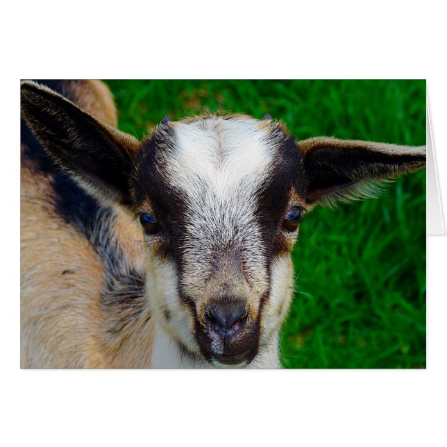 Cartão Tinta (Frente Horizontal)