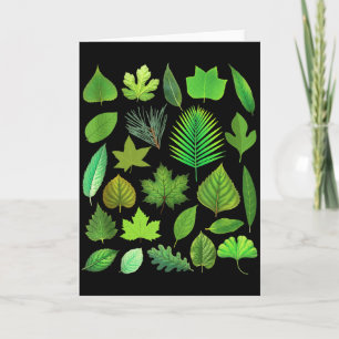 Cartão Tipos De Folhas De Árvore Biologia Natureza Educac