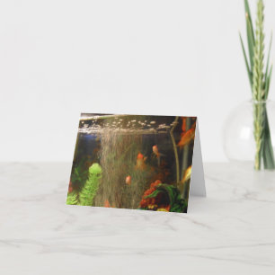 Cartão Tire uma placa de imagem