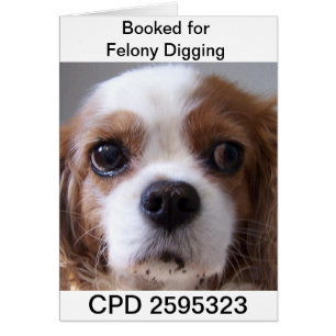 Cartão Tiro de caneca de sextas-feiras