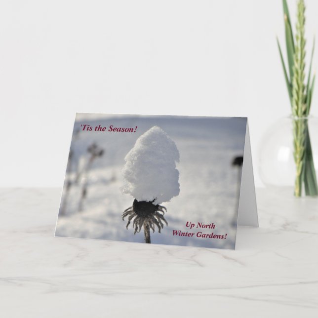 Cartão 'Tis a estação… acima do inverno norte jardina (Frente)