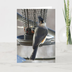 Cartão Titmouse