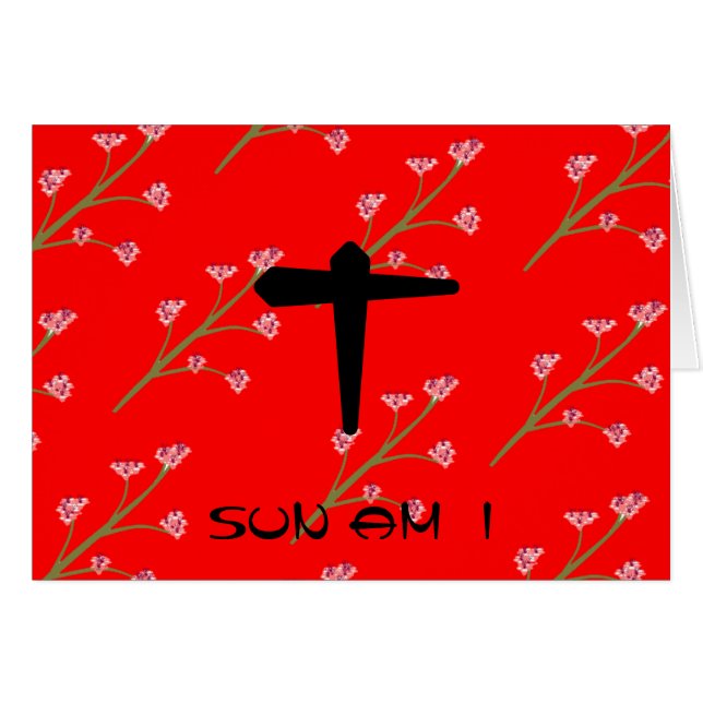 Cartão to SUN AM I (Frente Horizontal)