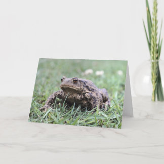 Cartão Toad Notecard
