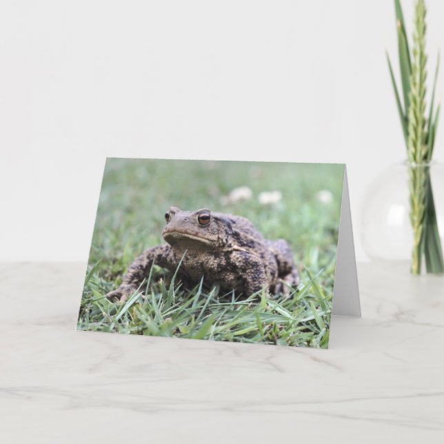 Cartão Toad Notecard (Frente)