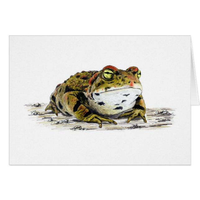 Cartão Toad Ocidental (Frente horizontal)