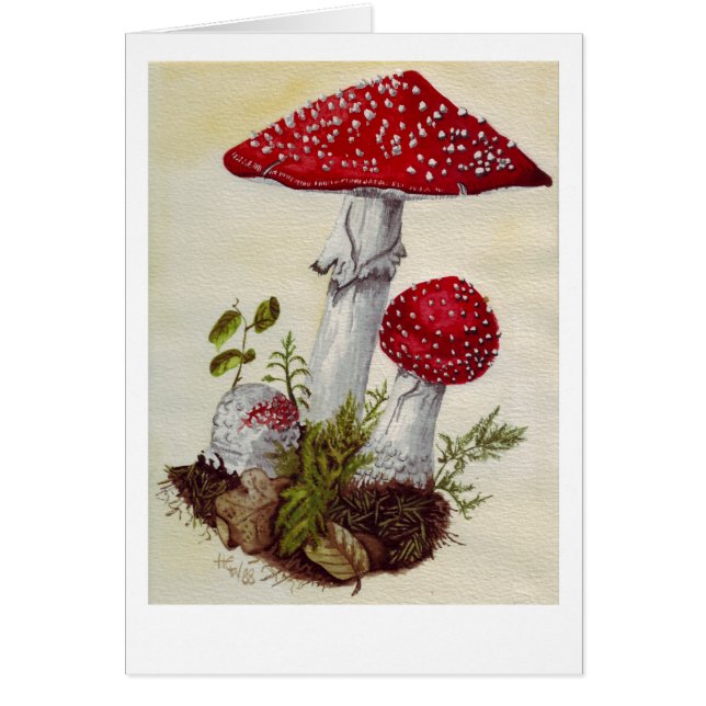 Cartão Toadstool (Frente)