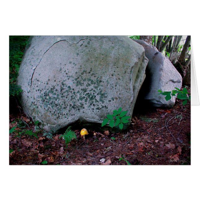 Cartão Toadstool Mimics Boulder (Frente Horizontal)